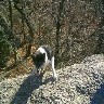 My best friend Starr